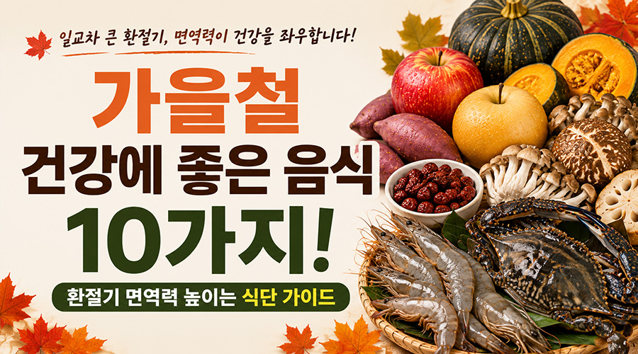 가을철 건강에 좋은 음식 10가지! 환절기 면역력 높이는 식단 가이드