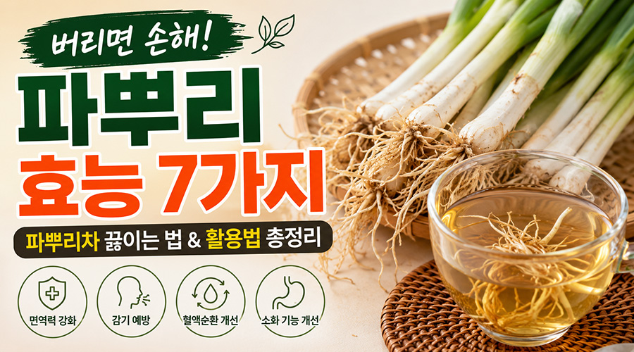 버리기 아까운 파뿌리 효능 7가지! 끓여 먹는 법부터 부작용, 활용법까지 총정리
