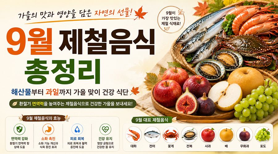 9월 제철음식 총정리: 해산물부터 과일까지 가을 맞이 건강 식단