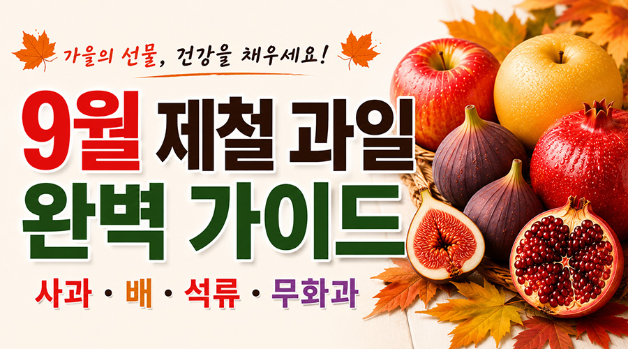 9월 제철 과일 완벽 가이드: 사과·배·석류·무화과 효능과 보관법